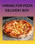 DELIVERY PIZZA BOY