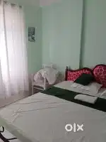 M.P. Real Estate