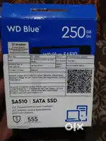 WD blue 250gb ssd