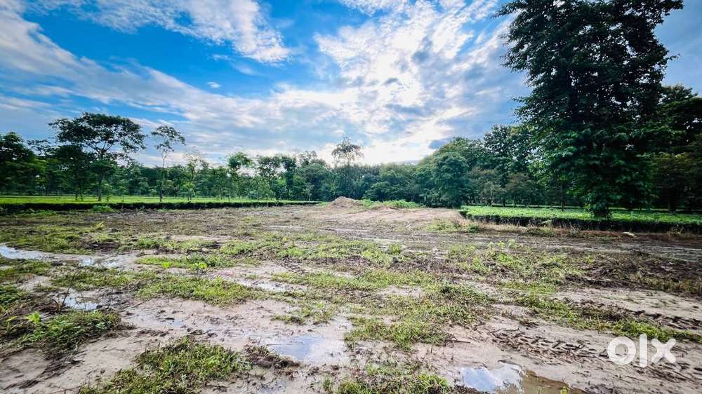 Best Plot in Siliguri for Residential and Investment Purpose.