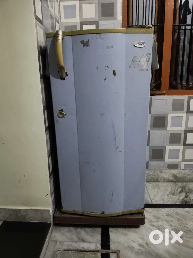 High performance fridge at a budget price and energy efficiency