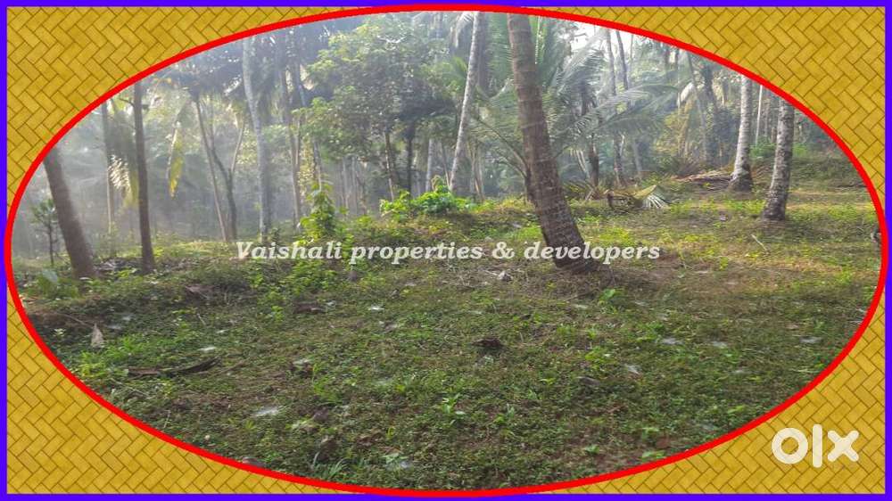 For Commercial use - 45 cents Plot for RENT in near Nadakkavu