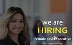 Sales executive