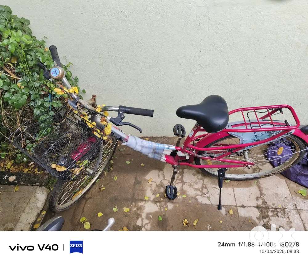 Ladies cycle