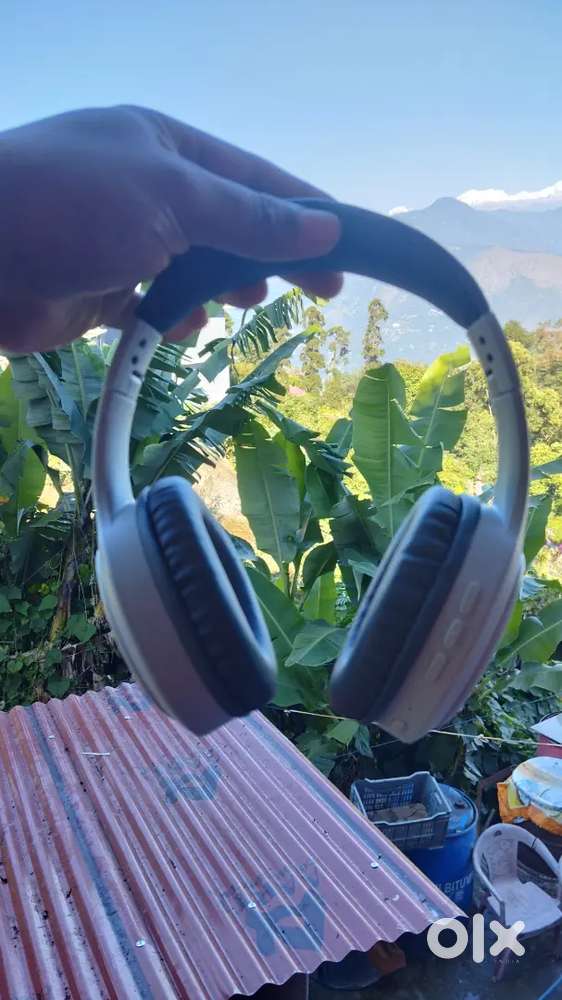 Leaf Bass Pro Head phone