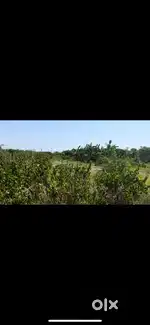 DTCP Approved land