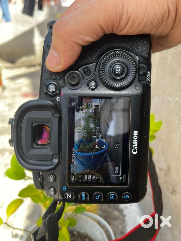 Canon 5D mark 4 { shutter clicks ~ 9470}