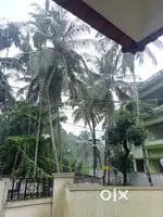 Flat for share in near hilite