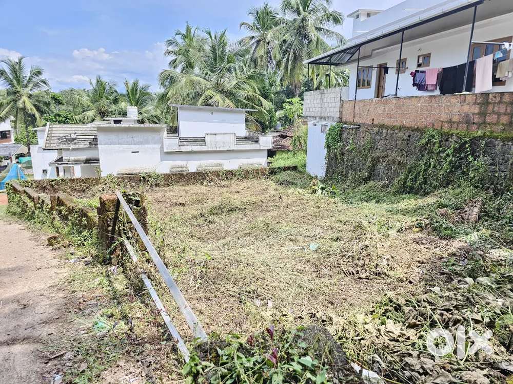 5 Cent Residential Plot for Sale at Payyanad, Kacheripadi