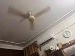 Ceiling fan 48 inch orient