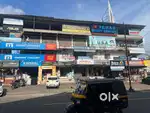 Pulimoottil pioneer