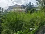 Plot for sale