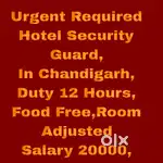 Security Jobs chandigarh 22