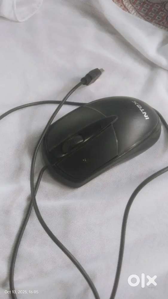 Best profession  mouse