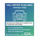 Part-time Driver