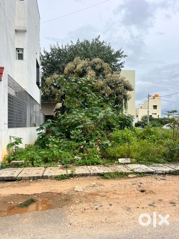 CLEAR TITLE 30X40 NORTH Facing Site READY TO BUY