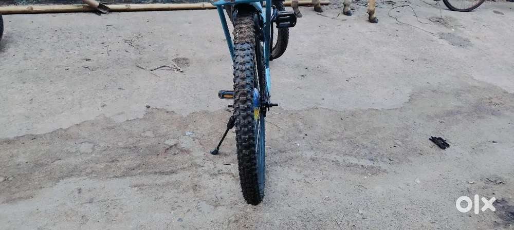 Stryder cycle