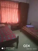Pg paying guest for girls near palarivattom at Padivattom triple eye