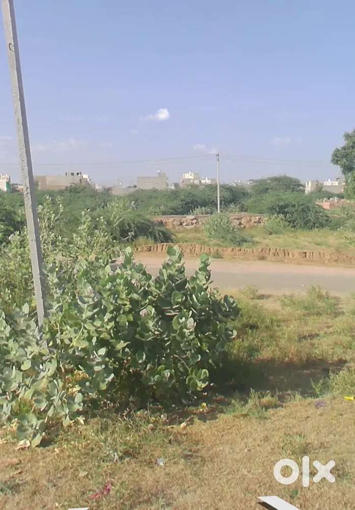 Sector N Vivek vihar jodhpur