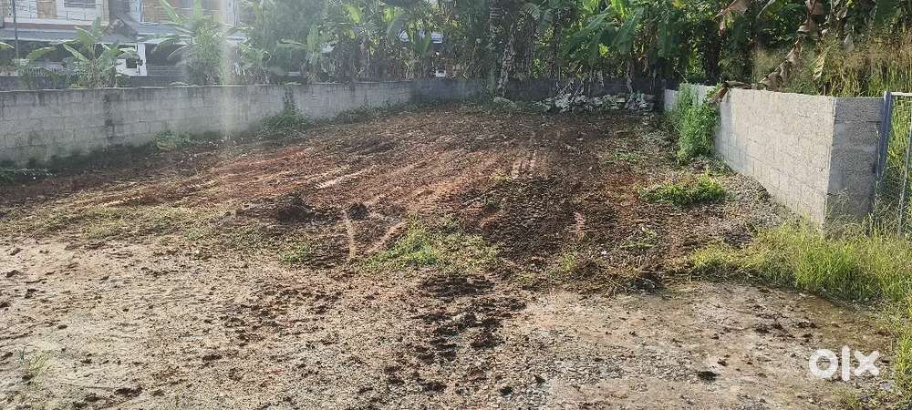 4.3 cent house plot Lake view line Vattiyoorkavu Arappura