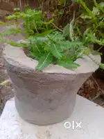 A  durable flower pot made of cement , iron wires.strong to breakage,