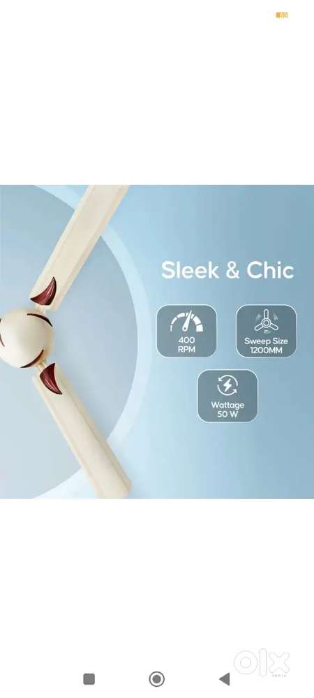 Ceiling fan and kitchen items