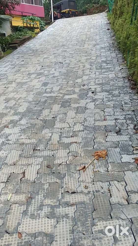 25 /10 cents for sale .