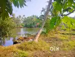 Kongorpoilly  thathappilly road water front age 40 cent for sale