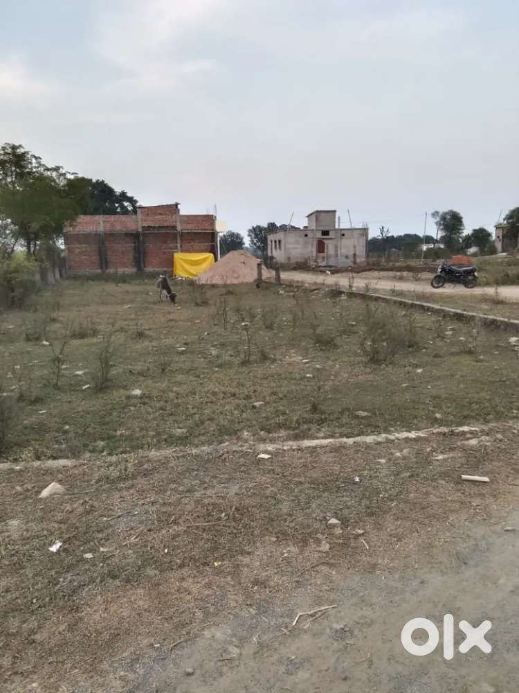 800 squre fit plot, near depaul school near petrol pump in bidwa,