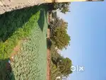 Plot for sale in basudeopur