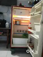 बनफुल का फीरीज