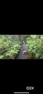 Waterflow/falls