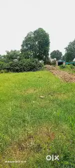 Plot for sale