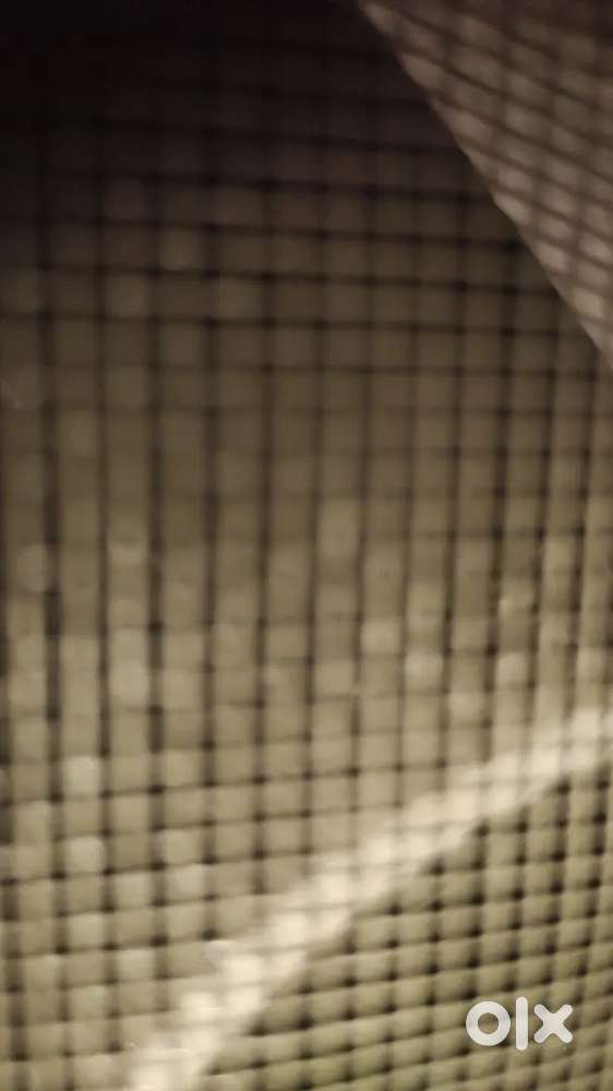 Site for sale 50,000syrd