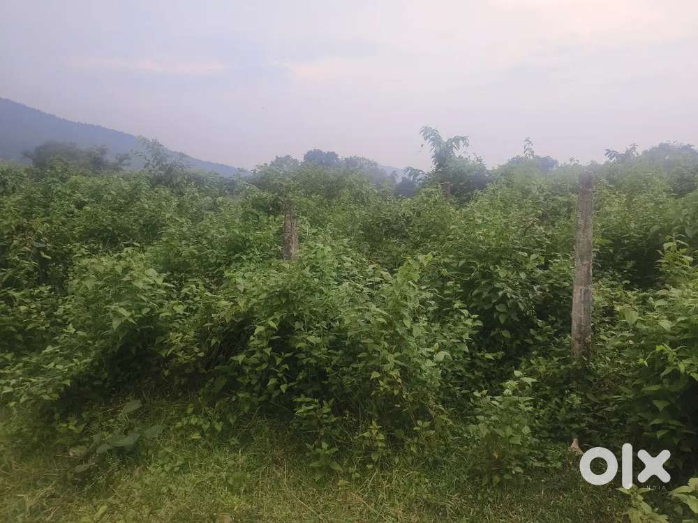 4 katta land with pillar boundary at dimna lake dam side