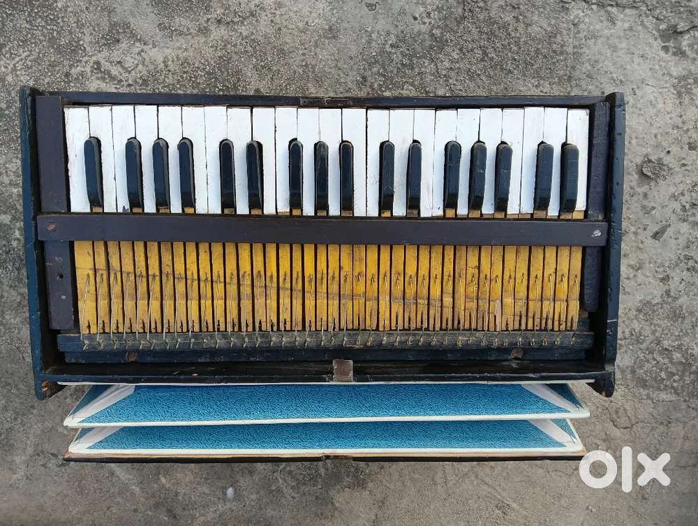 Harmonium instrumental