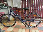 2 months old cycle