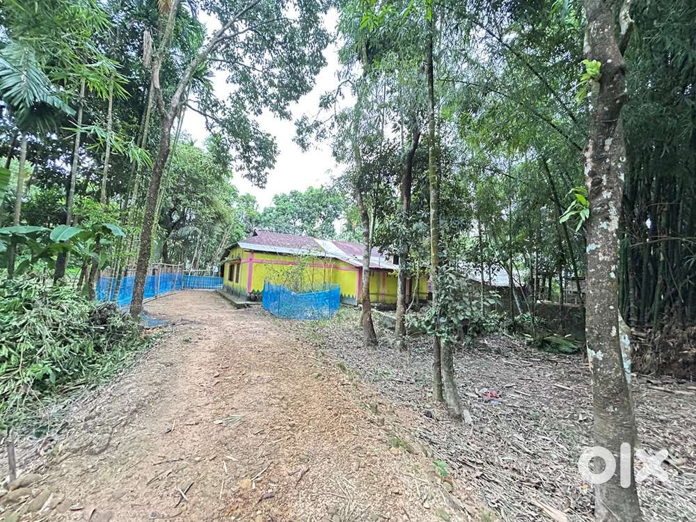 25 khata 8.4 acres/3.4hectares 5 BHK Assam - type house , with pond