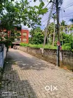 15 CENTS PLOT FOR SALE KAKKANAD IMG JN 300 METER DISTANCE