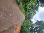 200 metre away from pathrippala and kongad road