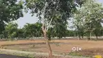 Anakapalli collector office and APIIC nearby VUDA plots for sale