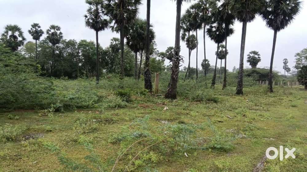 1 Acre plot for sale