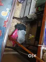 Sweing machine