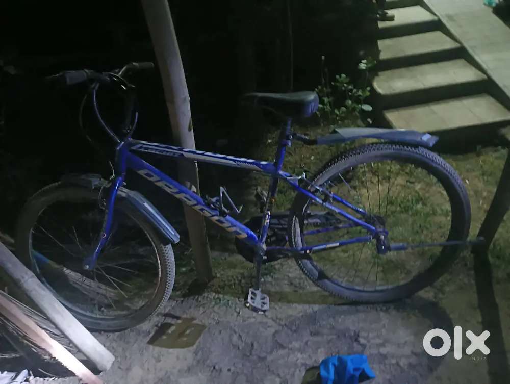 Fine Cycle