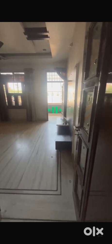 Best 3bhk house in sec 14 for bachelors and job persons or company