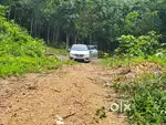 Land for sale Kurambala Pandalam