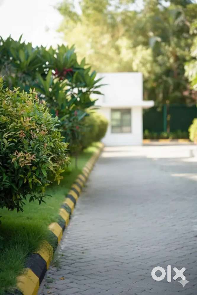 Phone Attending and office cleaning