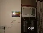 Window AC 1.5 Ton LLoyd