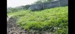 183.88 squar yards open plot