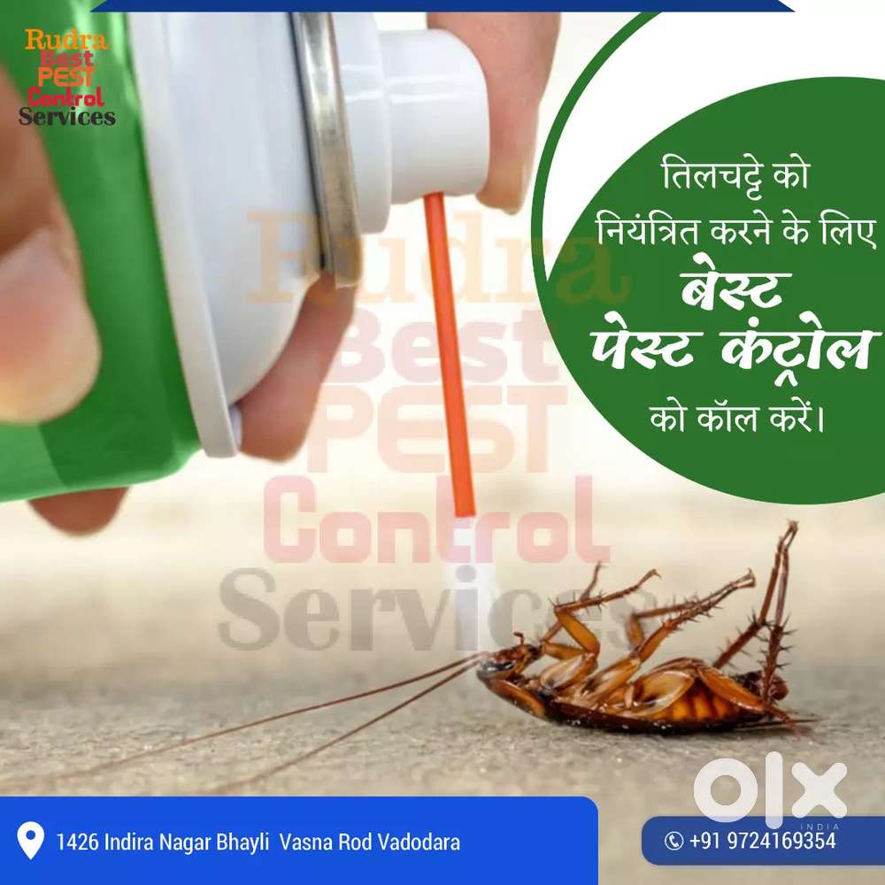 Rudra Best pest control services
